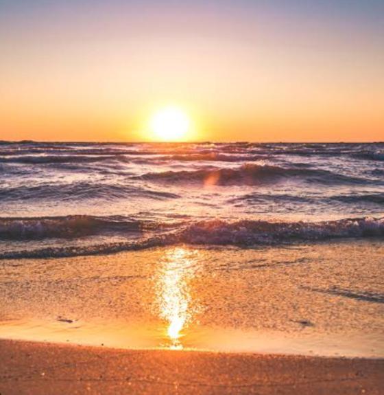 Marari La Rose Beach Homestay 마라리쿨람 외부 사진